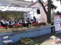 DSC01941