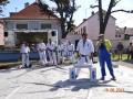 DSC01967