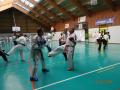 DSC05919