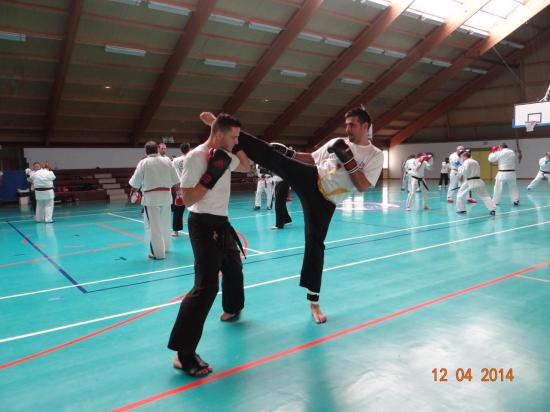 DSC05951