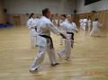 Stage de Kobudo 24.10.2014