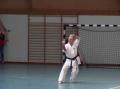 STAGE SHIHAN LEGREE 15.02.09