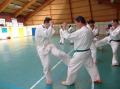 STAGE SHIHAN LEGREE 15.02.09
