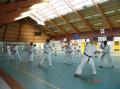 STAGE SHIHAN LEGREE 15.02.09