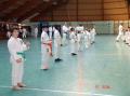 STAGE SHIHAN LEGREE
