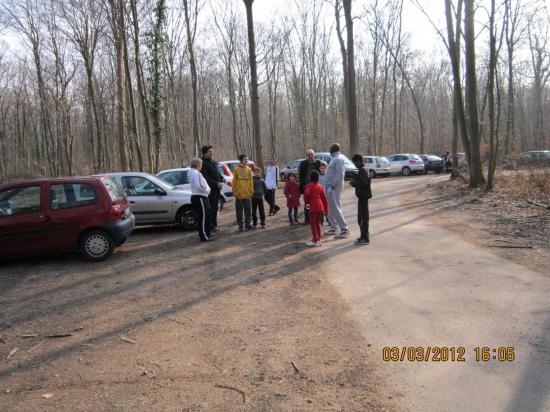 IMG_0001 (2)