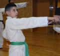 Kamel
