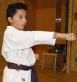 Medhi